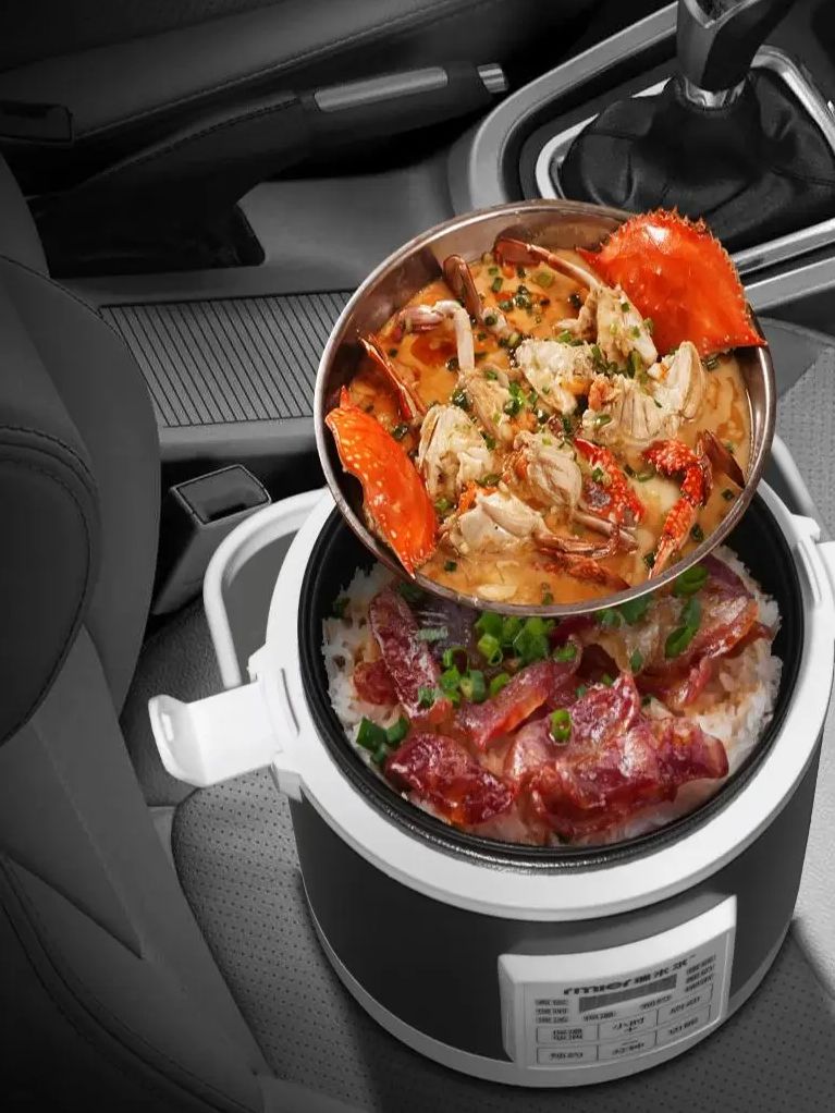 ARIER 12-24V 220V 밥솥 다기능 찜기 음식 - Camping Cooking Cylinder 리뷰 및 가격